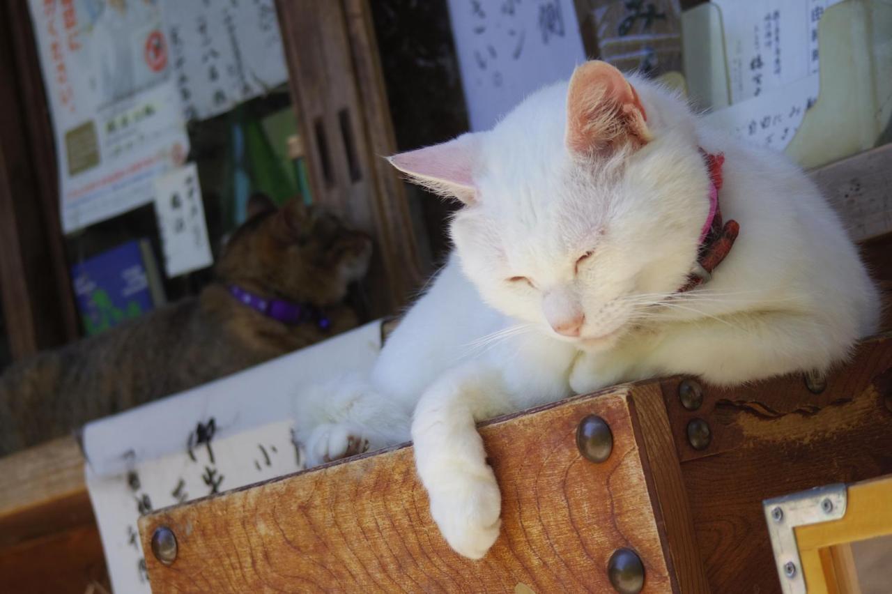Hotel Arrows Arashiyama 京都市 エクステリア 写真