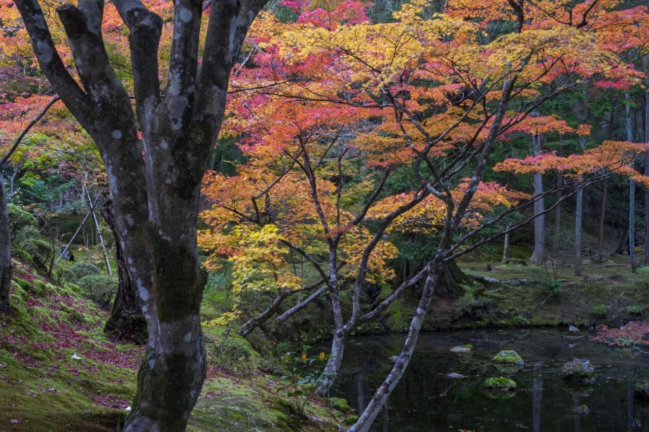 Hotel Arrows Arashiyama 京都市 エクステリア 写真