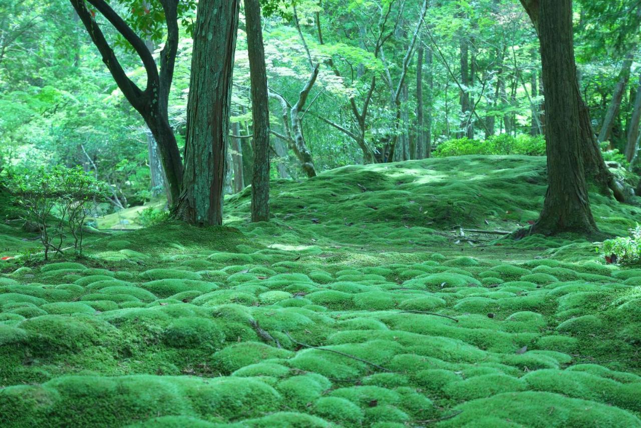 Hotel Arrows Arashiyama 京都市 エクステリア 写真